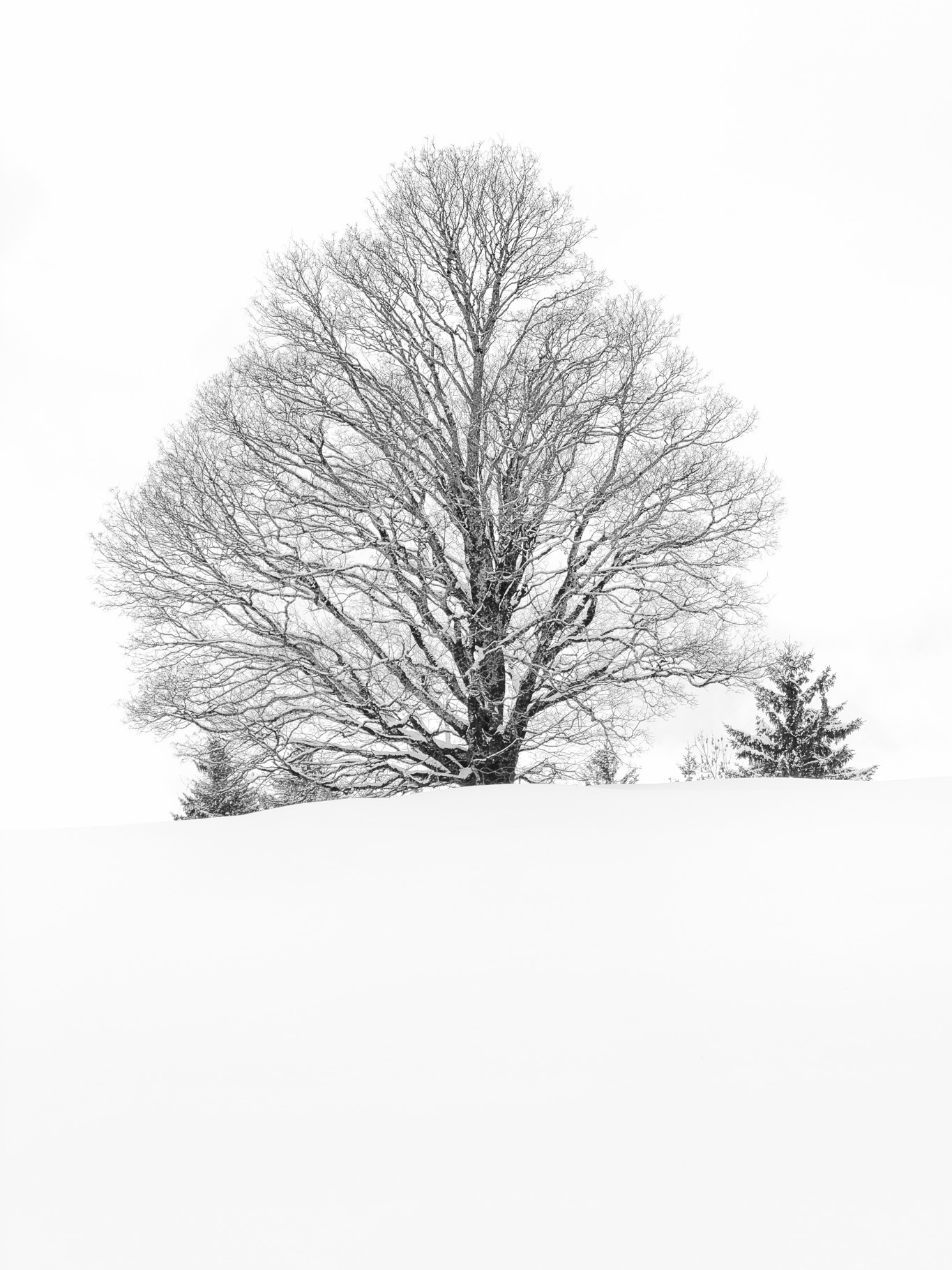 Portfolio Foto 20