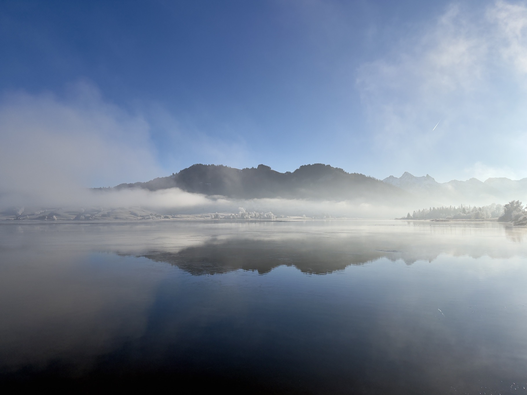 Portfolio Foto 29