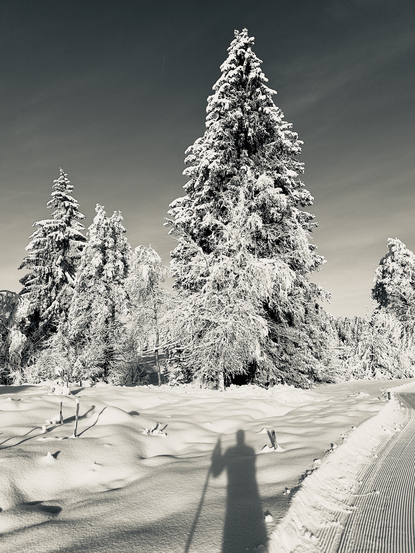 Portfolio Foto 114