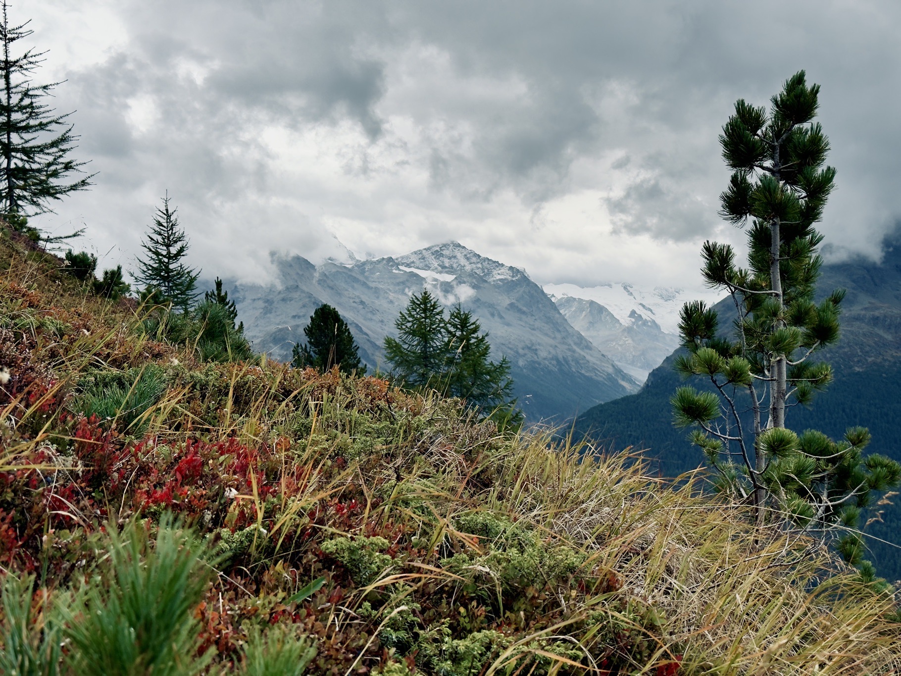 Portfolio Foto 57