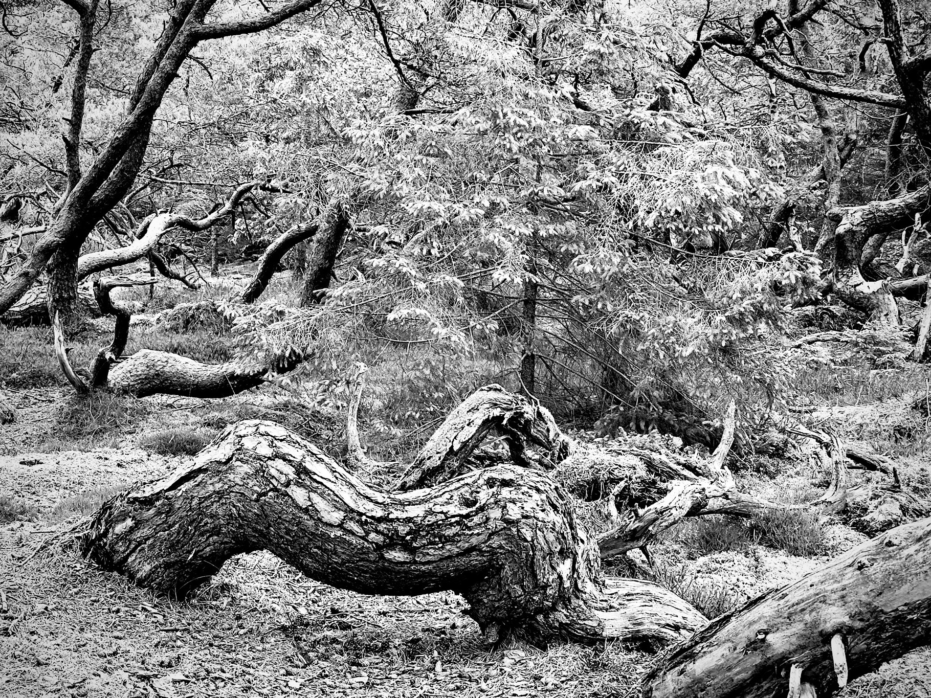 Portfolio Foto 80