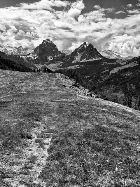 Portfolio Foto 91