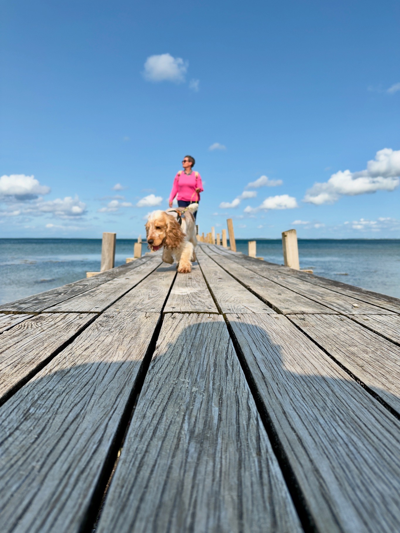 Portfolio Foto 84