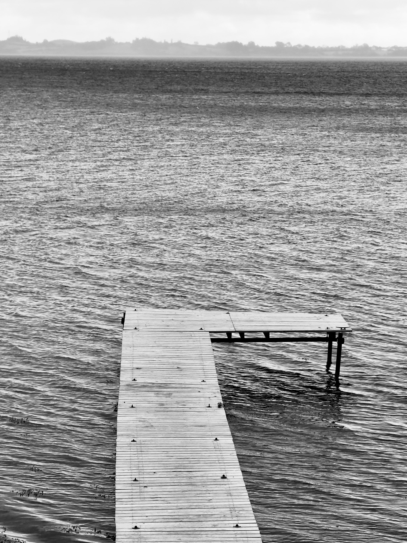 Portfolio Foto 85