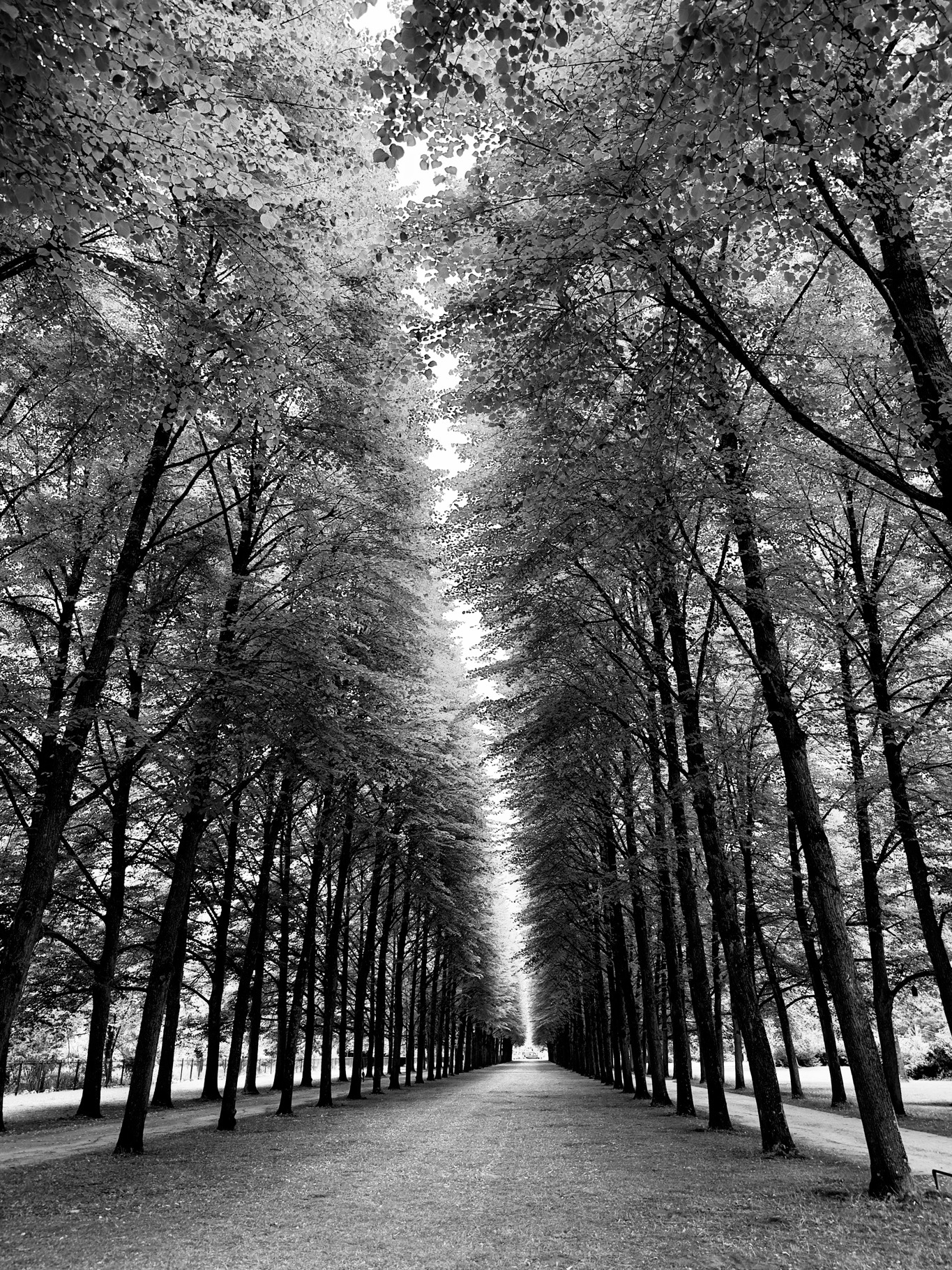 Portfolio Foto 87
