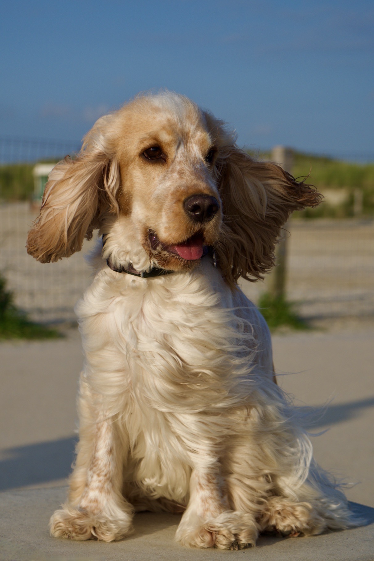Portfolio Foto 107