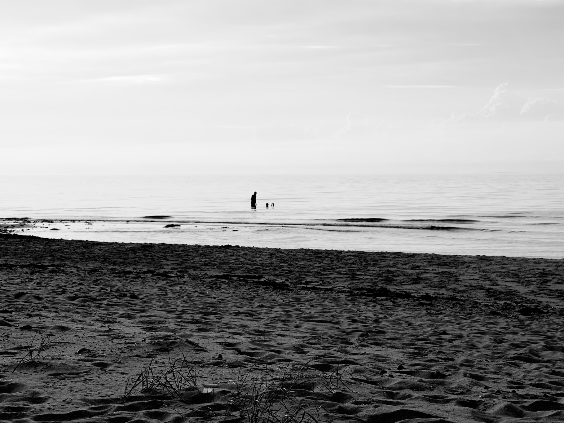 Portfolio Foto 6