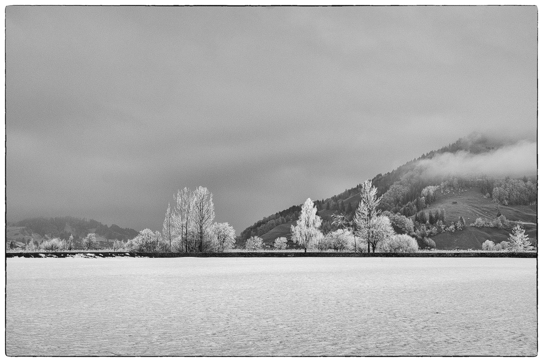 Portfolio Foto 120