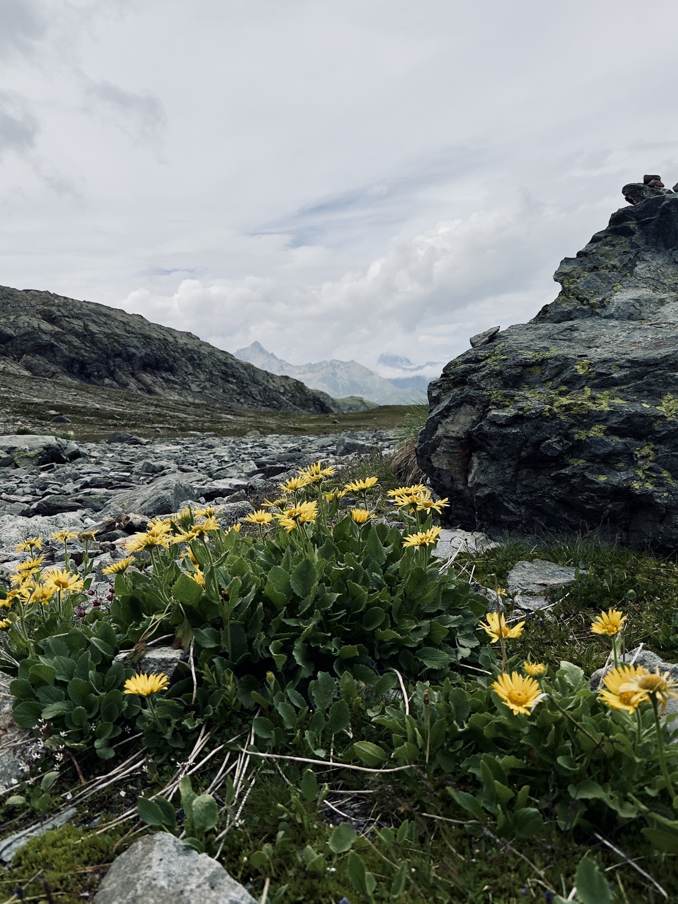 Portfolio Foto 72