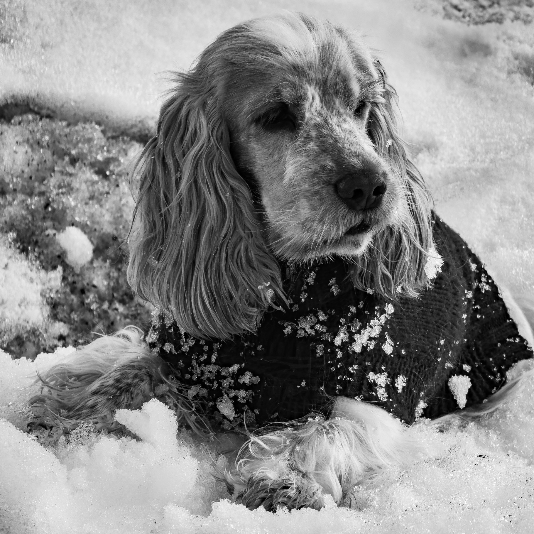 Portfolio Foto 113