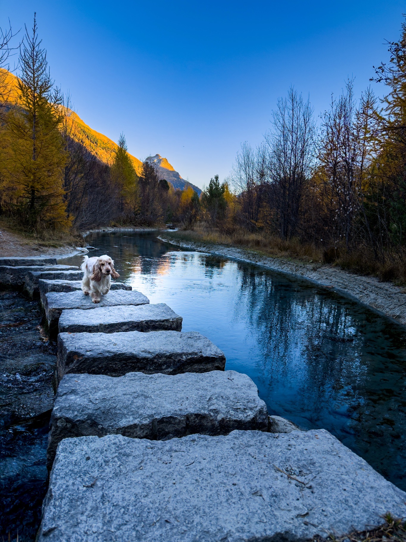 Portfolio Foto 34