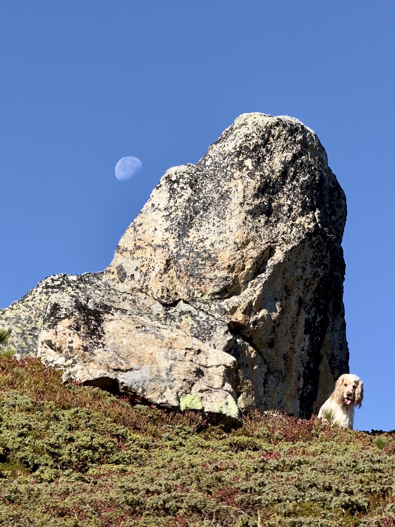 Portfolio Foto 46