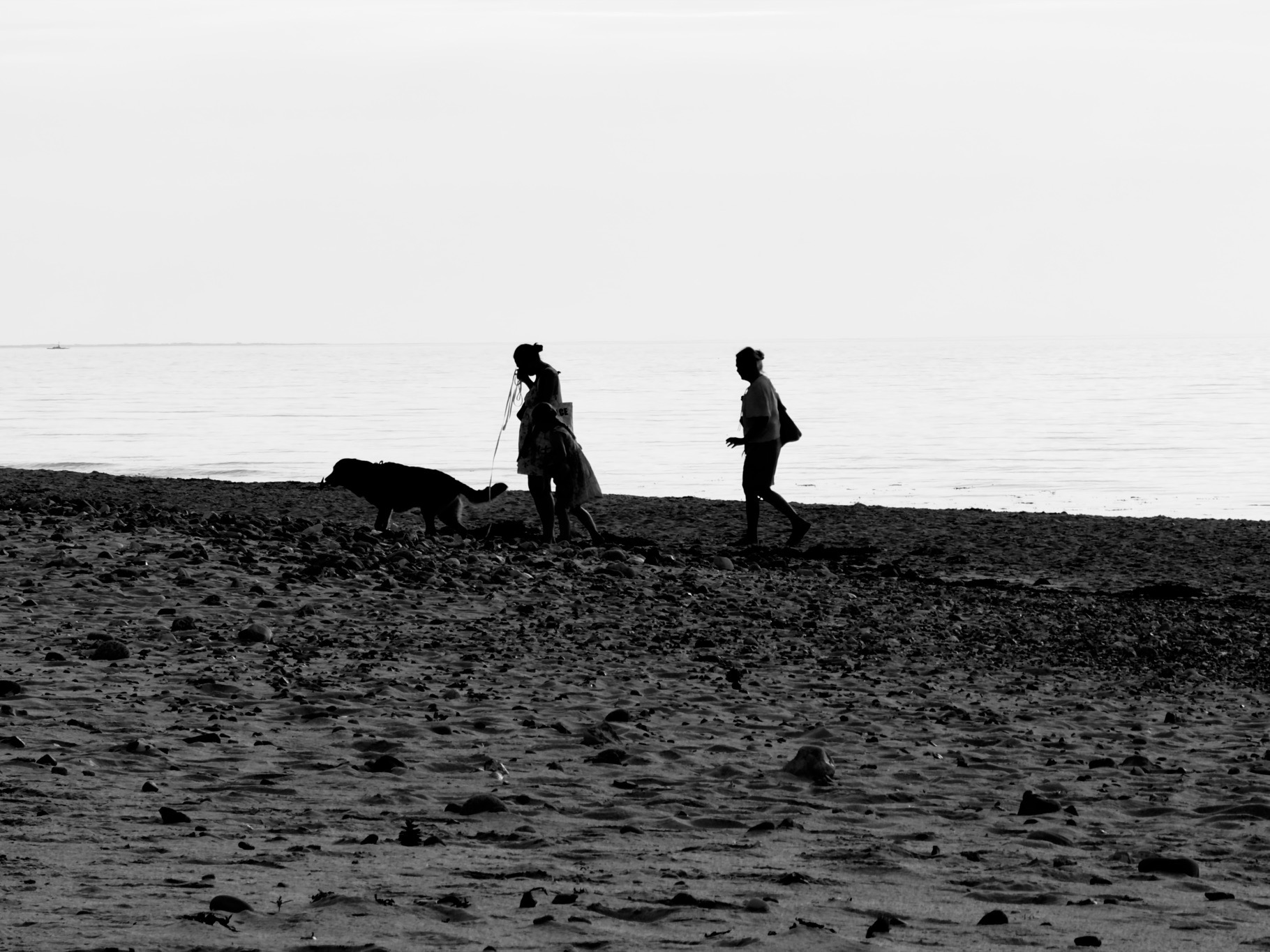 Portfolio Foto 5