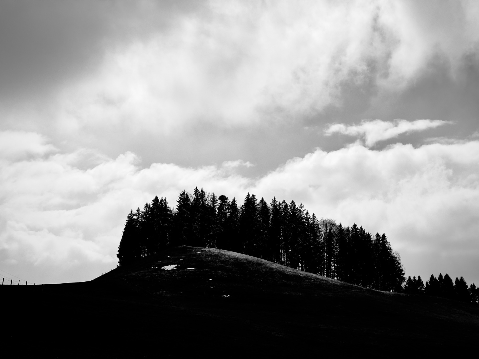 Portfolio Foto 115