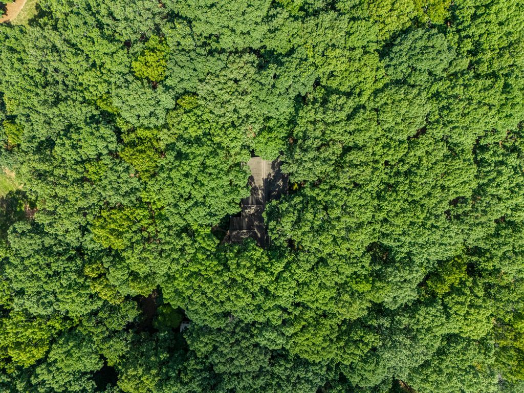 DJI_20250717104525_0011_D