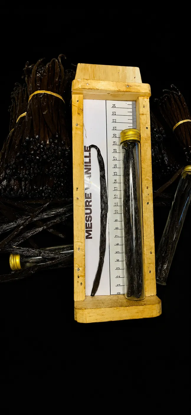 Mesure et calibrage des gousses de vanille Bourbon de Madagascar, tube en verre et règle en bois