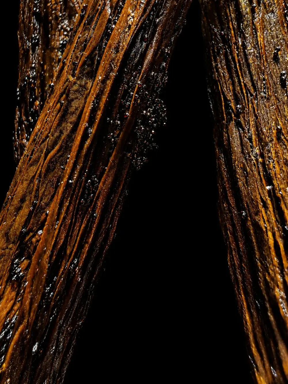 Vanille d'Ouganda Premium - Image 2