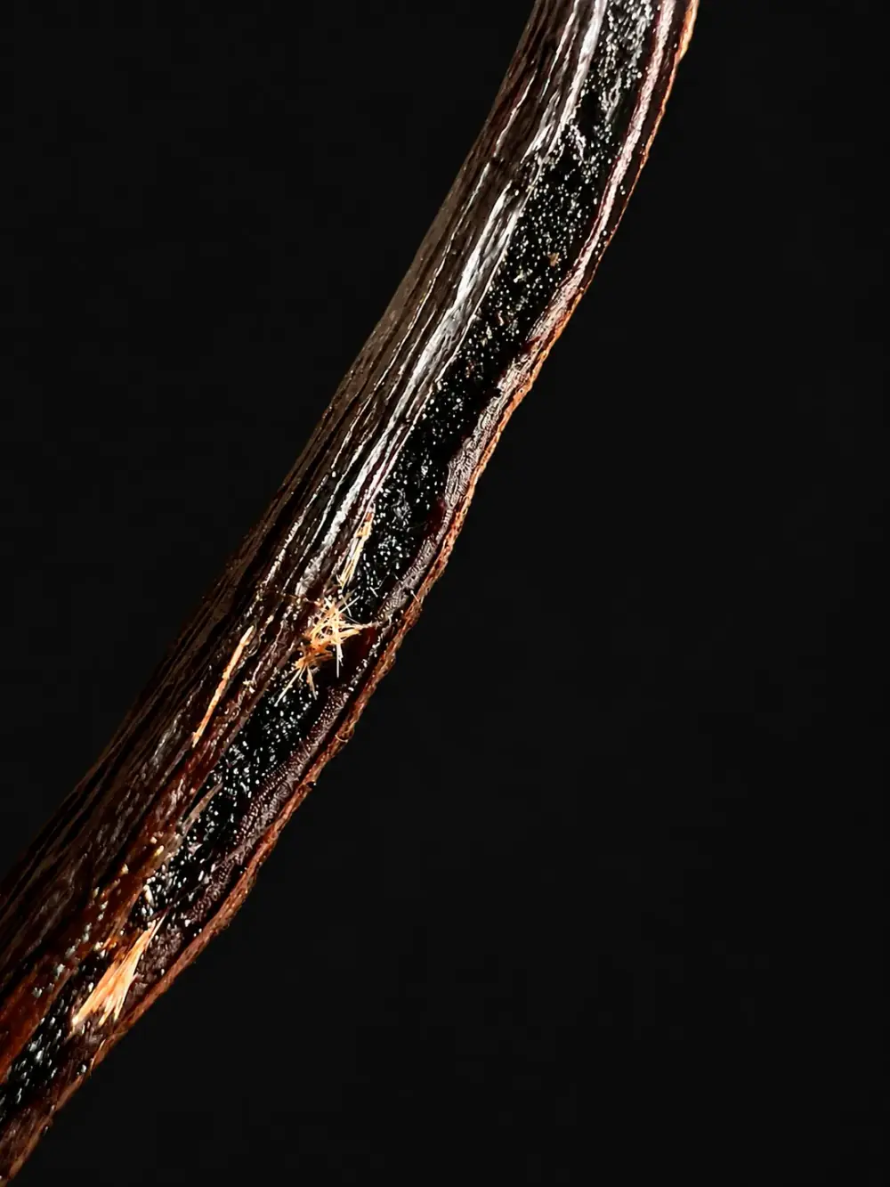 Vanille Madagascar Bourbon Noir