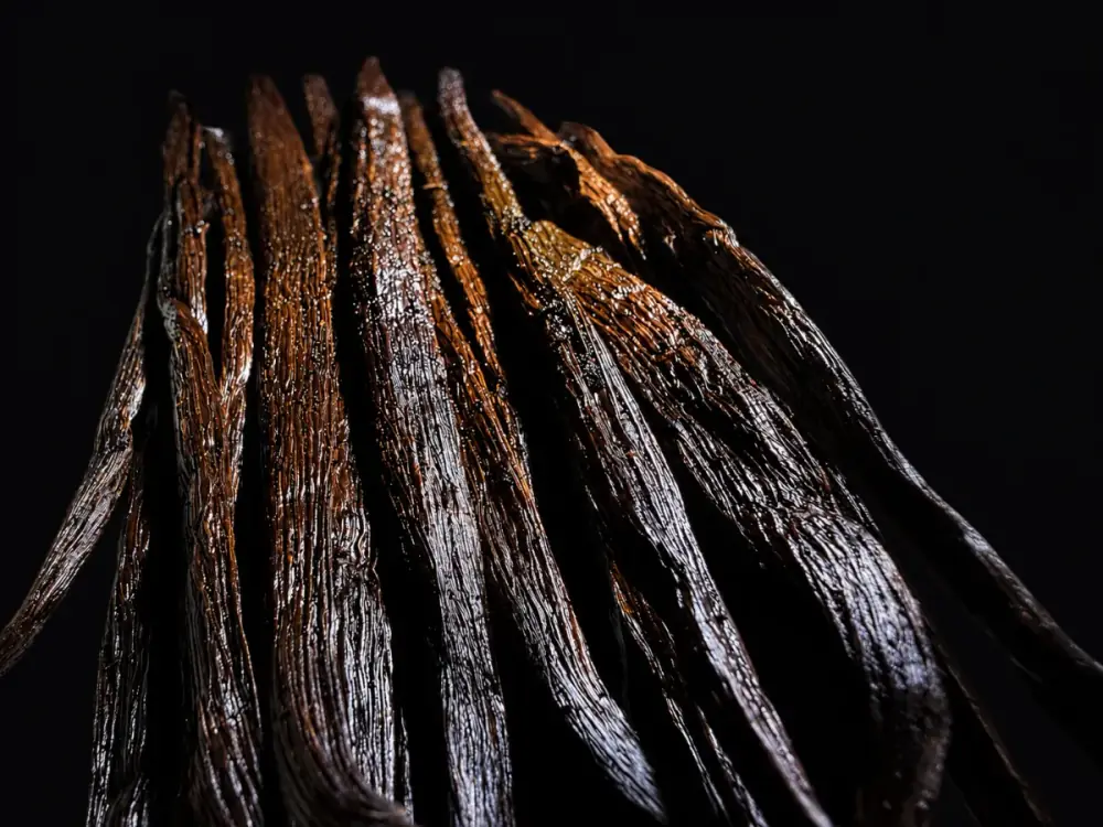 Vanille Madagascar Bourbon Noir - Image 4