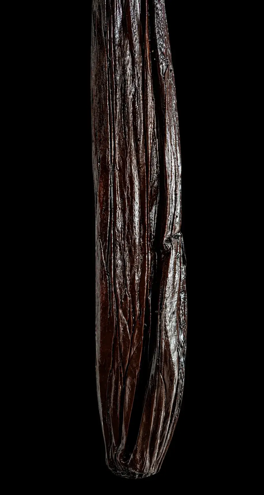 Vanille Pompona - Image 2