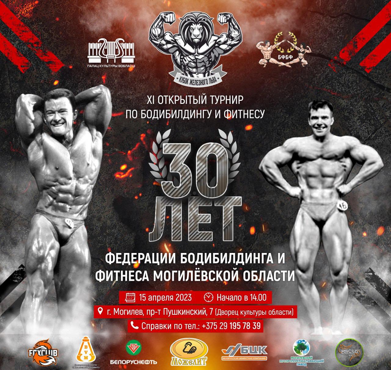 Кубок Железного Льва