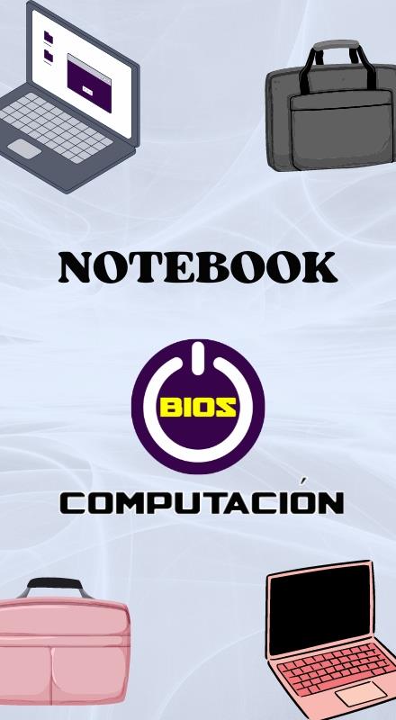 Notebooks 💻