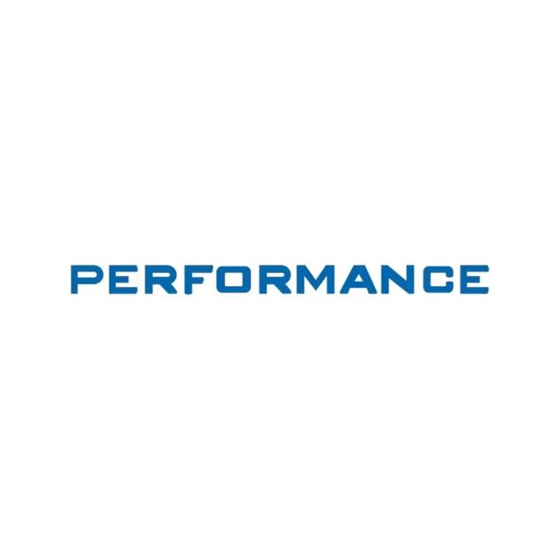 PERFORMANCE