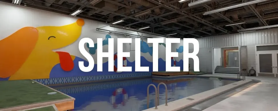 CS2'de Yeni Shelter Haritası: Köpekleri Kurtarın!