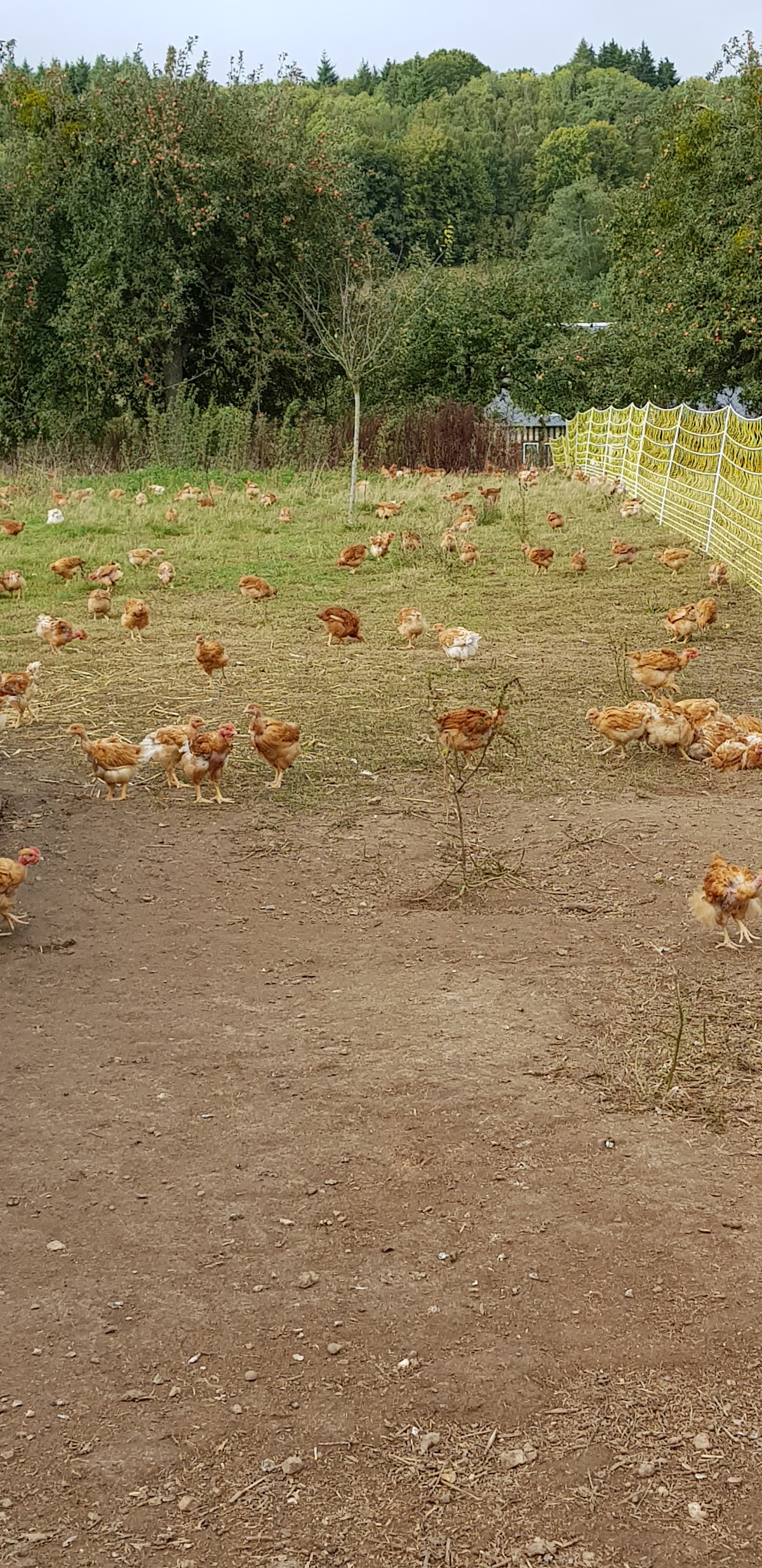 La Ferme Galobio