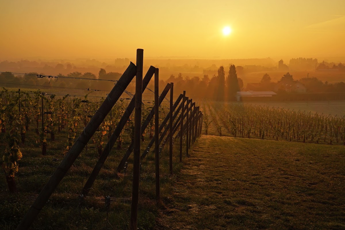 Arpents du Soleil