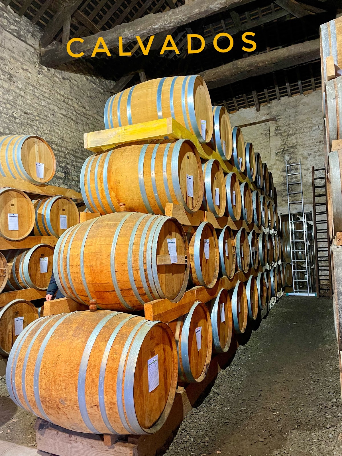 SCEA DOMAINE DE LA FLAGUERIE - LES VERGERS DE DUCY photo 2