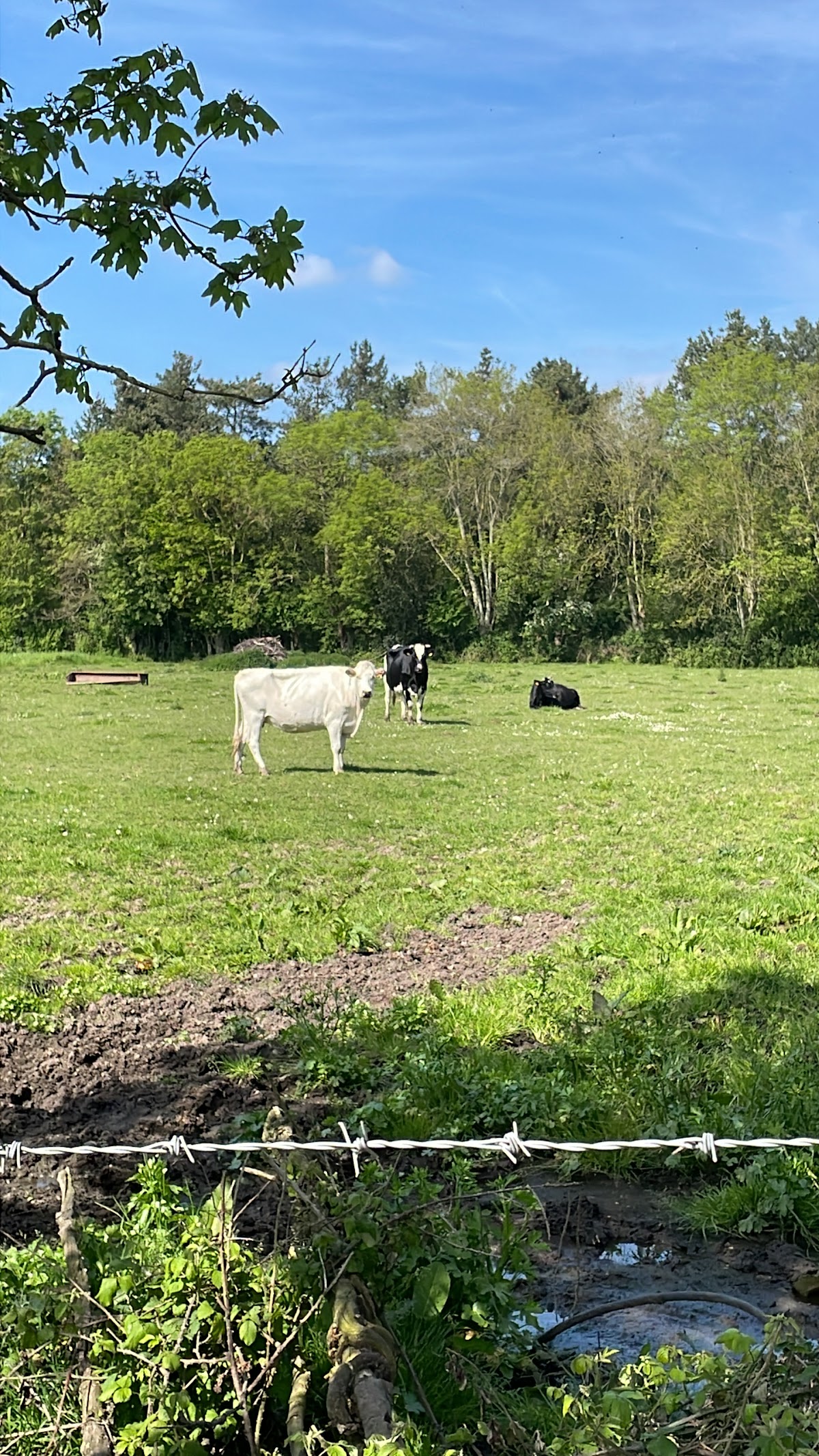 La Ferme des Rocs