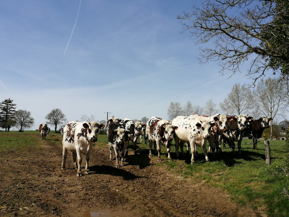 Naturellement Normande
