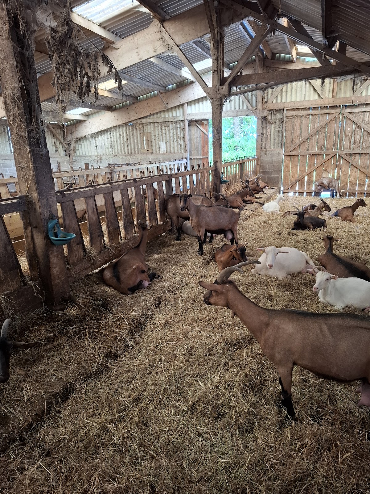 La Ferme du Bajocasse