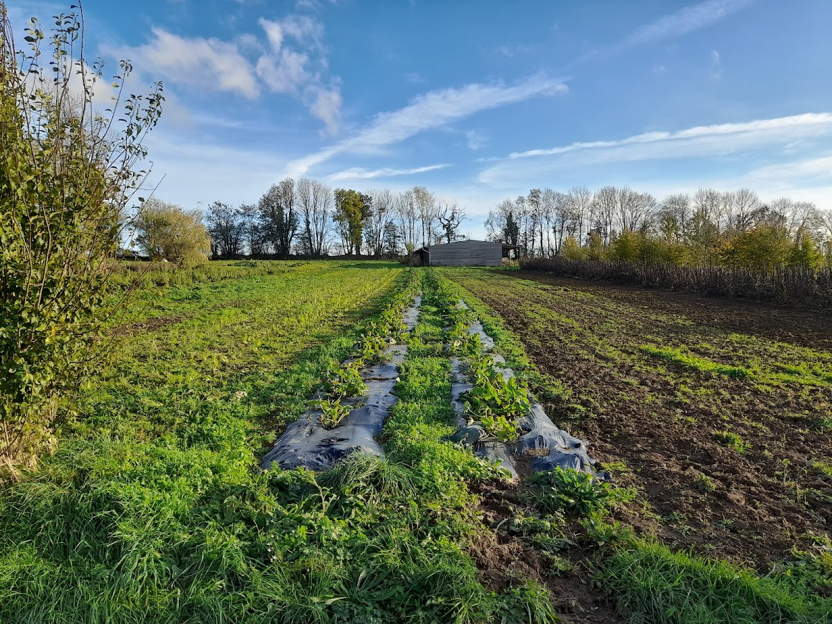 Aux Legumes Du Moulin
