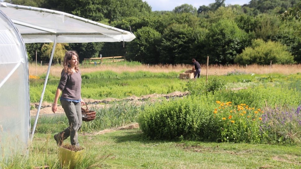 Les Jardins D'Archibald - Artman Karine