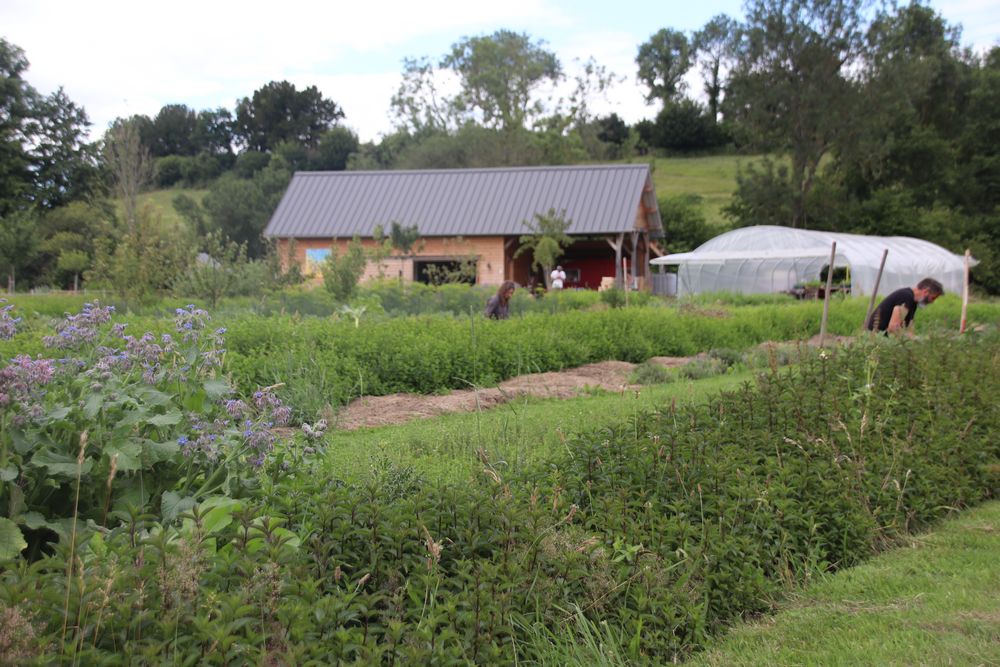 Les Jardins D'Archibald - Artman Karine photo 2