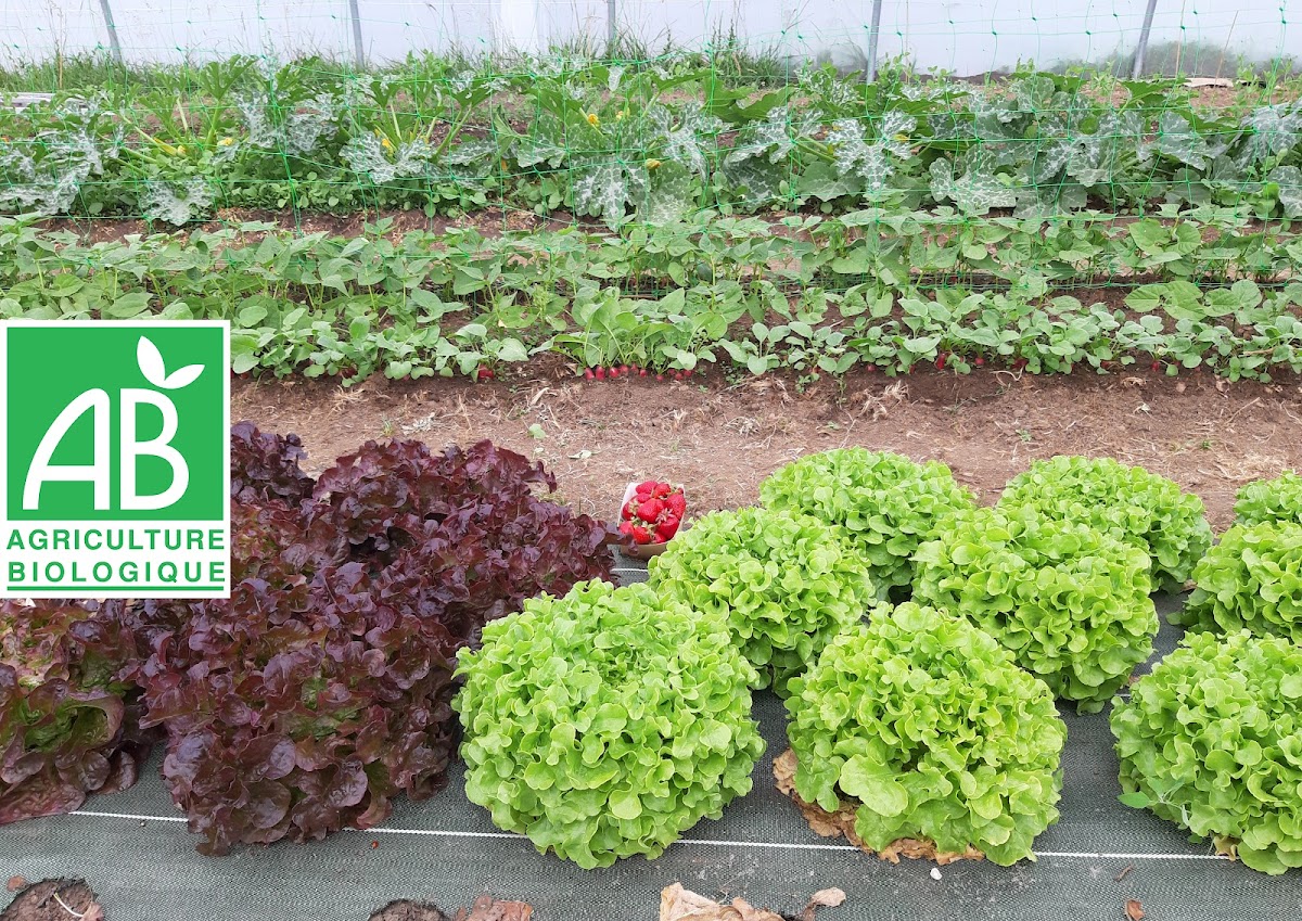 Les Jardins De La Muance