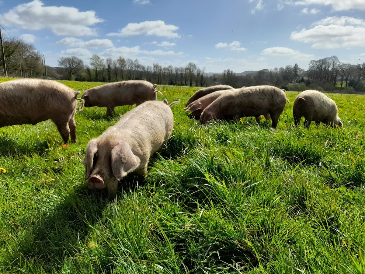 Ferme Le Buis Sonnant photo 2