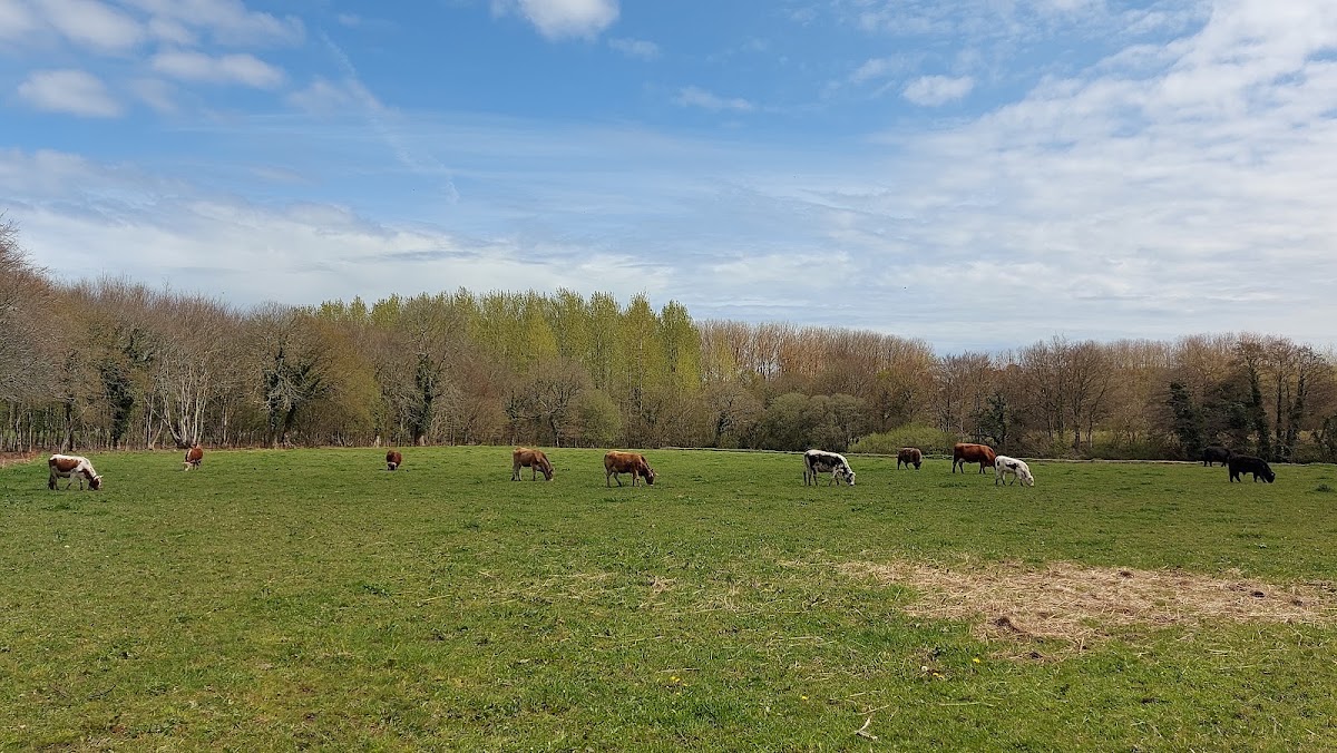 La Ferme de l'Allée Verte photo 2