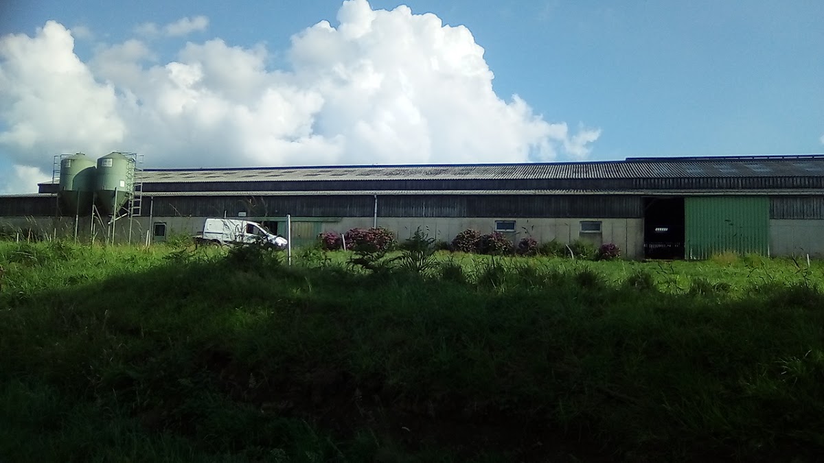 GLACE DE LA FERME photo 2