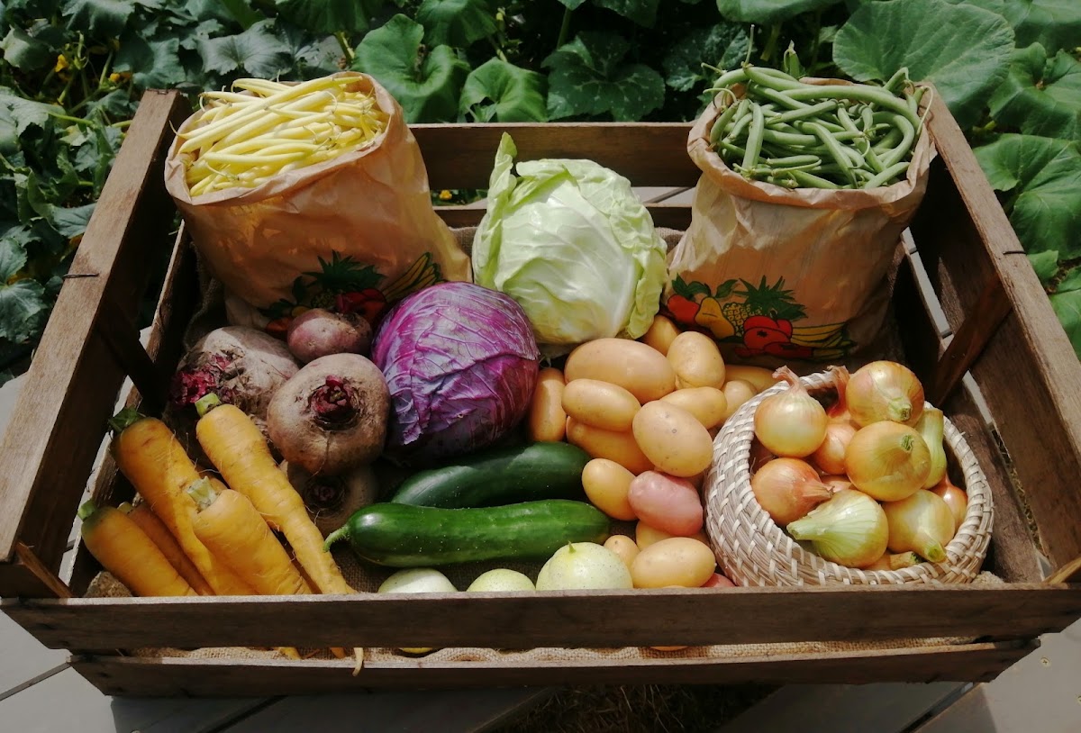 Micro-Ferme de Carcouet