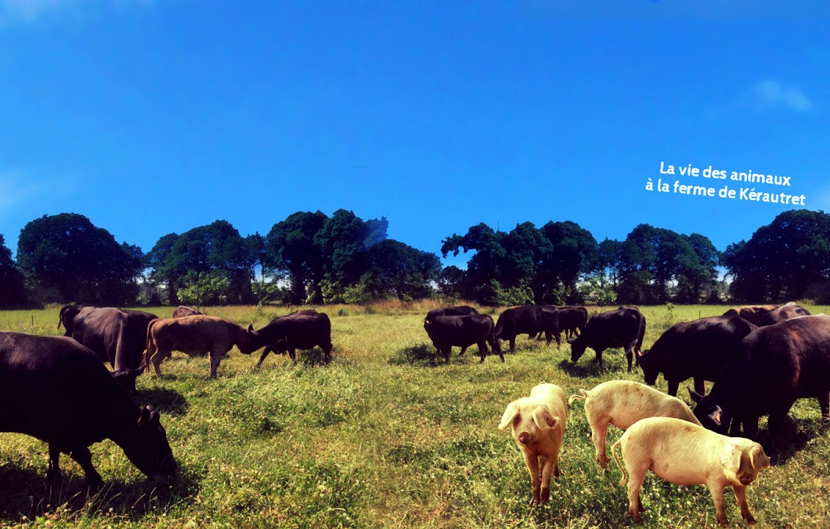 La ferme de Kerautret