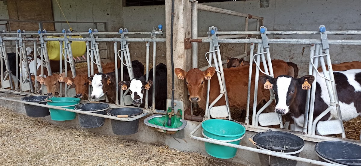 La Ferme de Keralait