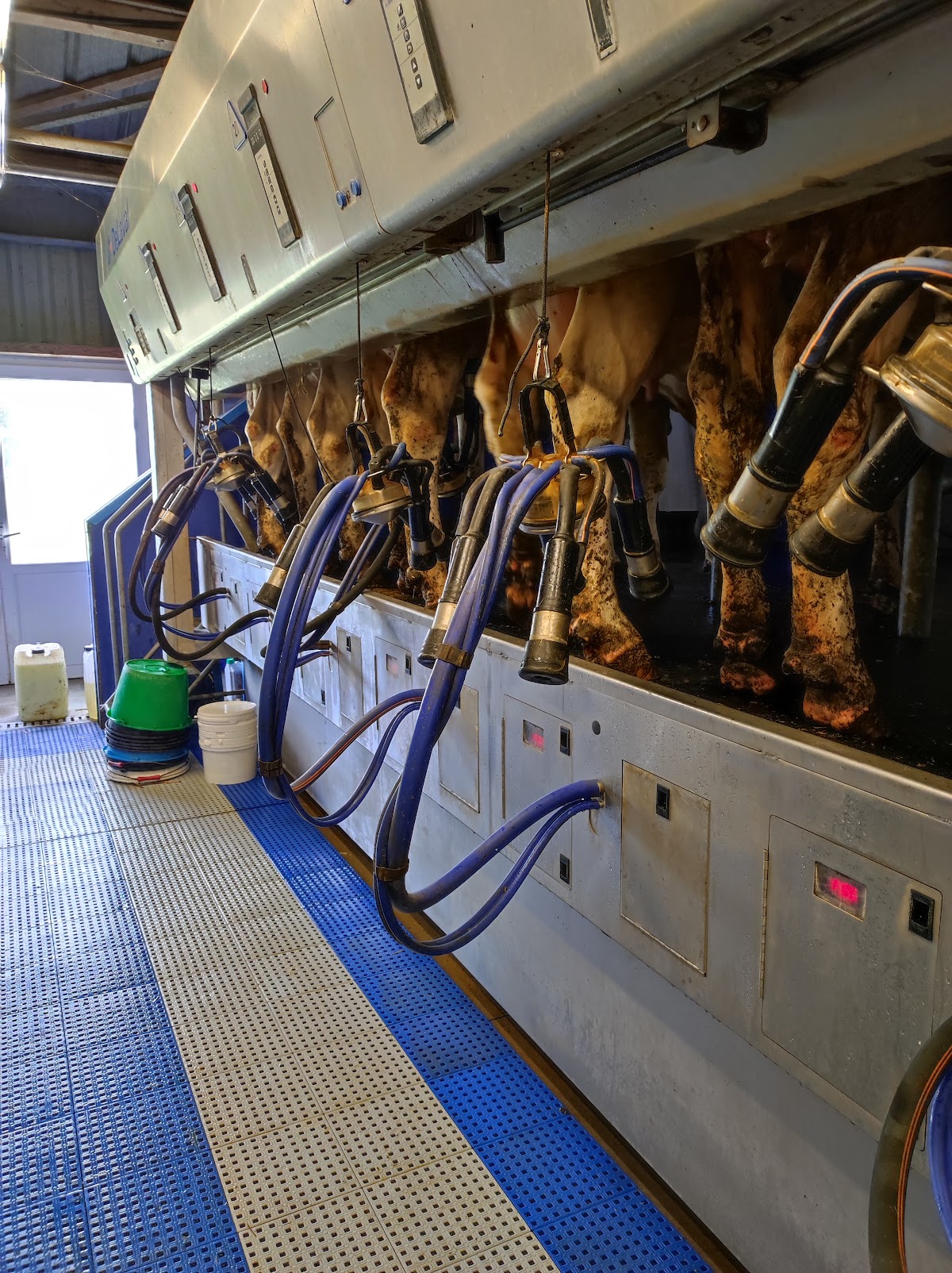 Ferme de Kervannes