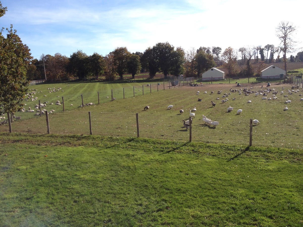 FERME DES ROCHELLES
