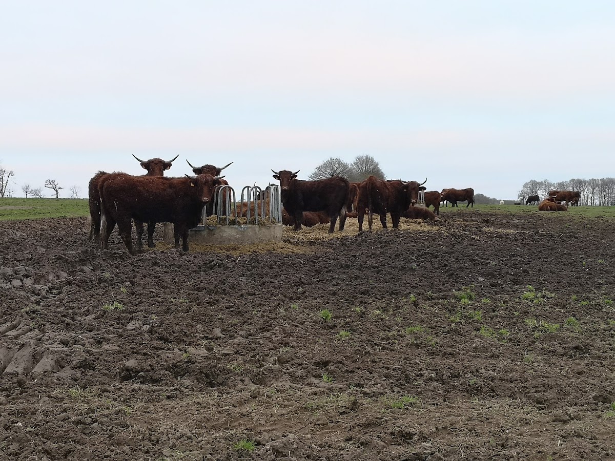 La Ferme de la Picardière photo 2