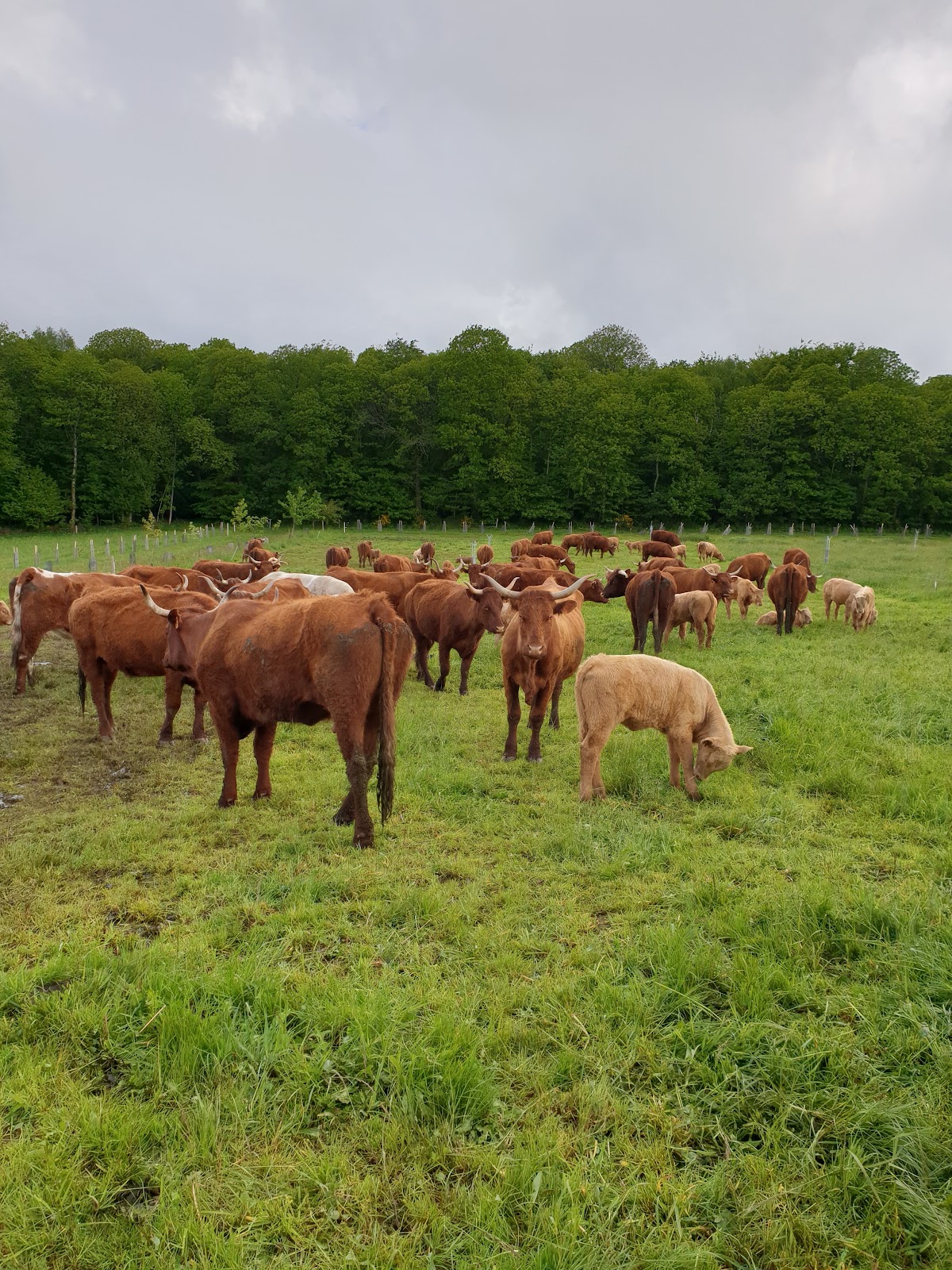 La Ferme de La Vallée photo 2