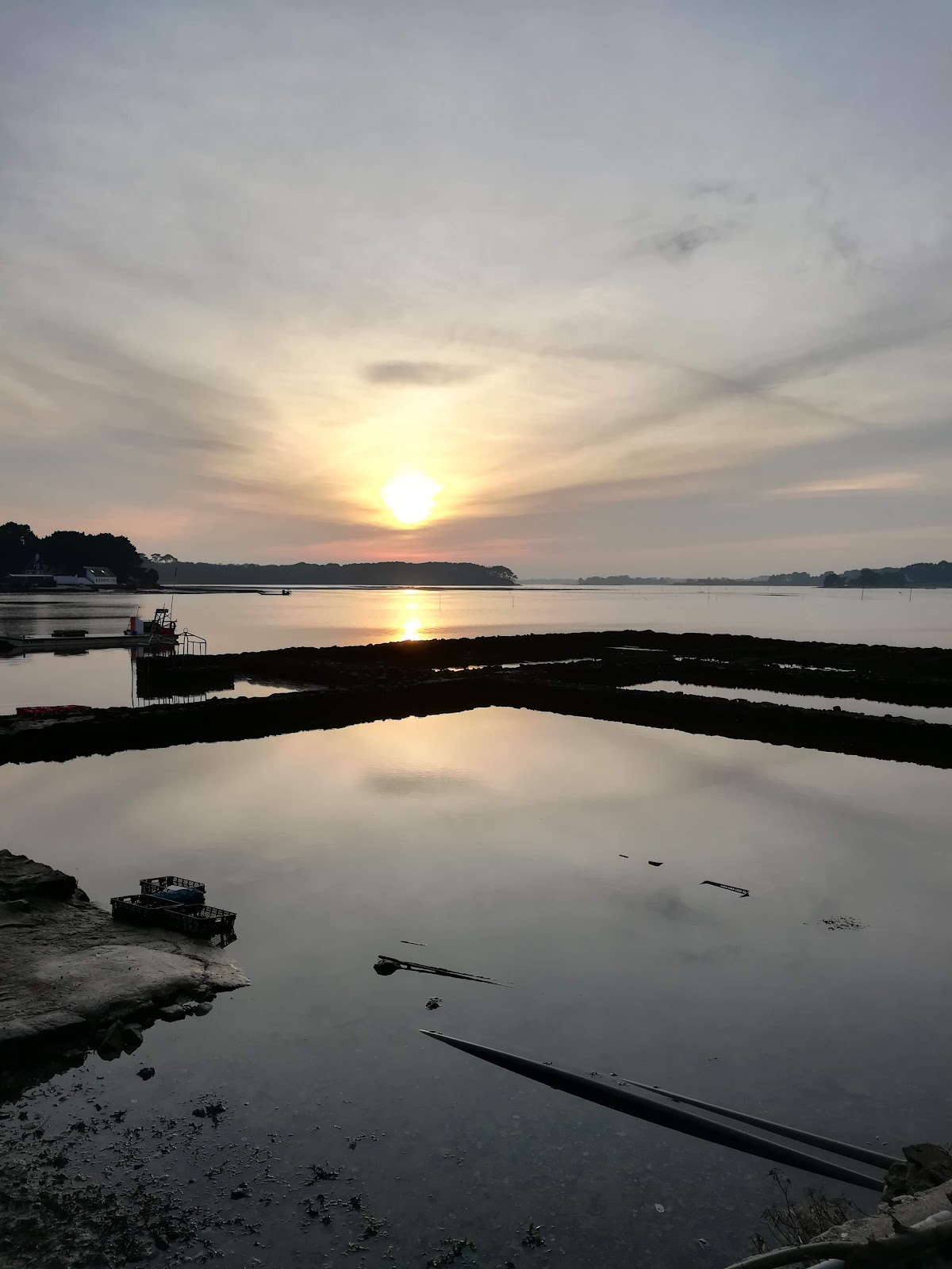 Les huîtres de la Baie de Locoal photo 2