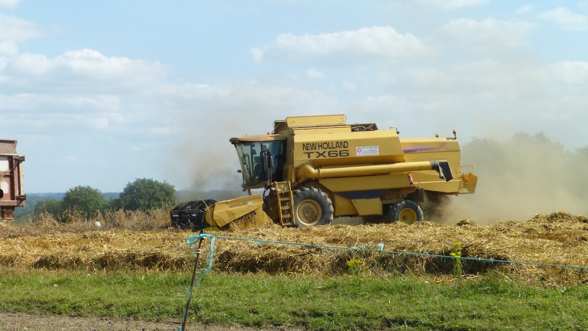 La Ferme  bio de la Cavalerie